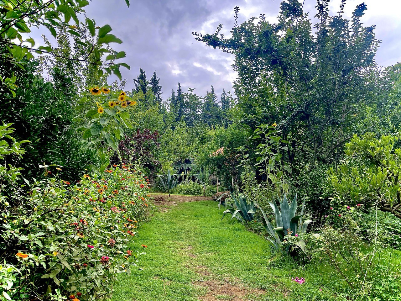 اجاره ویلا دو خوابه استخردار جنگلی ساری - تصویر 7