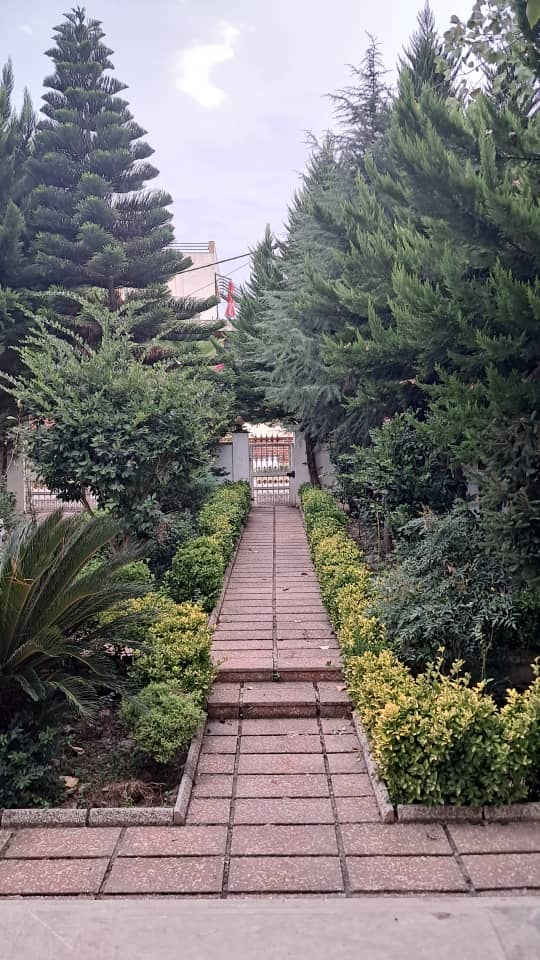 اجاره ویلا دو خوابه  جنگلی آمل - تصویر 7