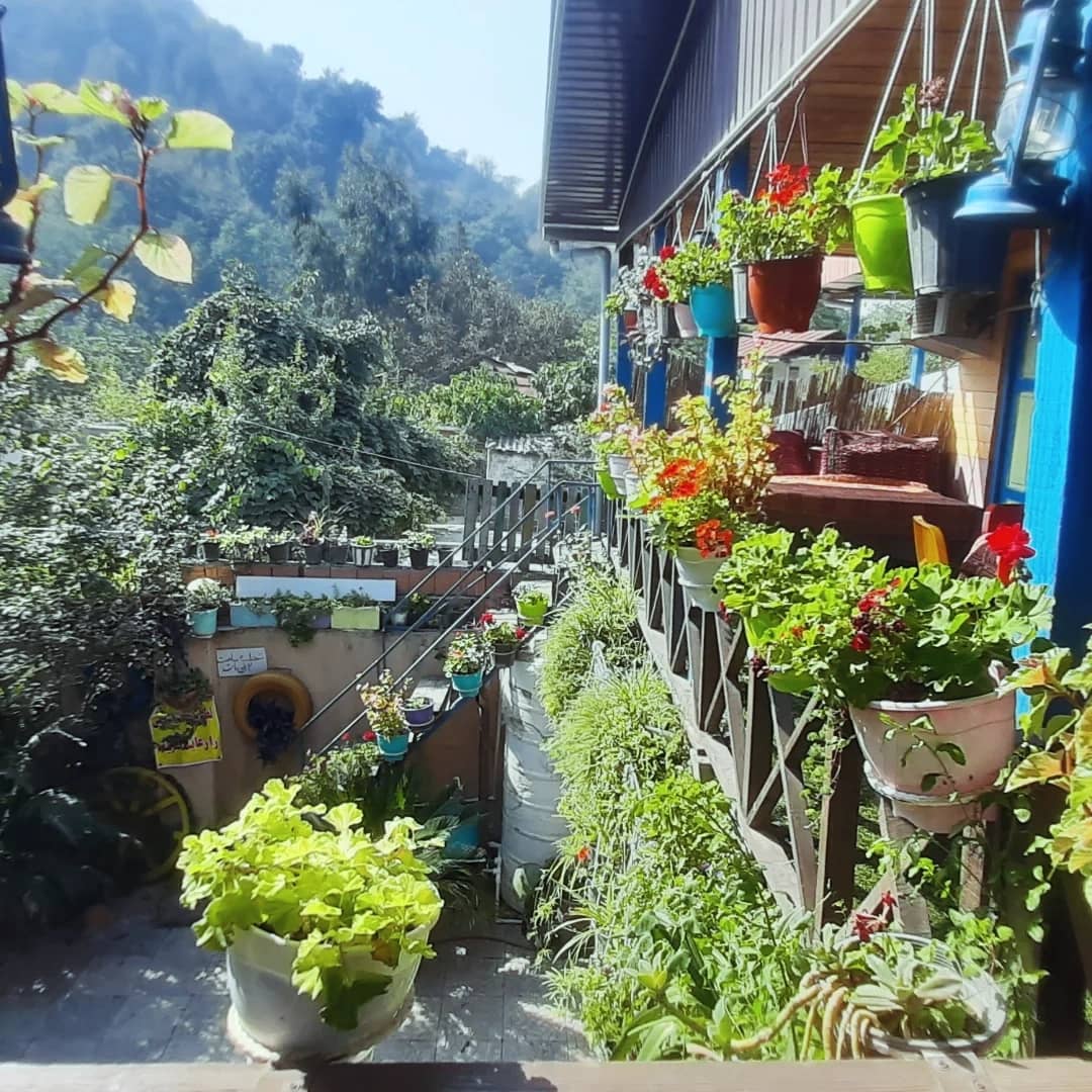 اجاره کلبه یک خوابه  جنگلی گرگان - تصویر 1