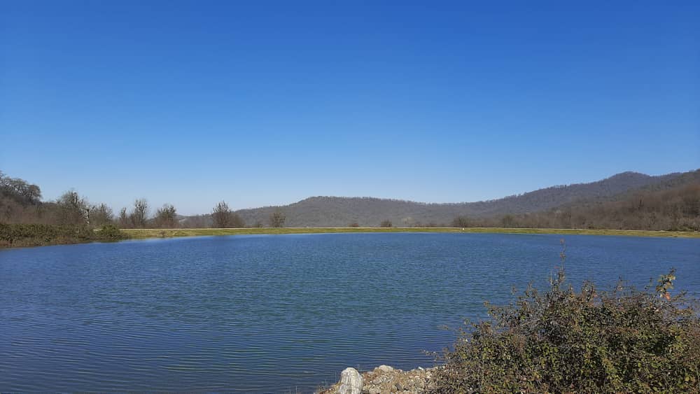 اجاره کلبه یک خوابه  جنگلی گرگان - تصویر 8