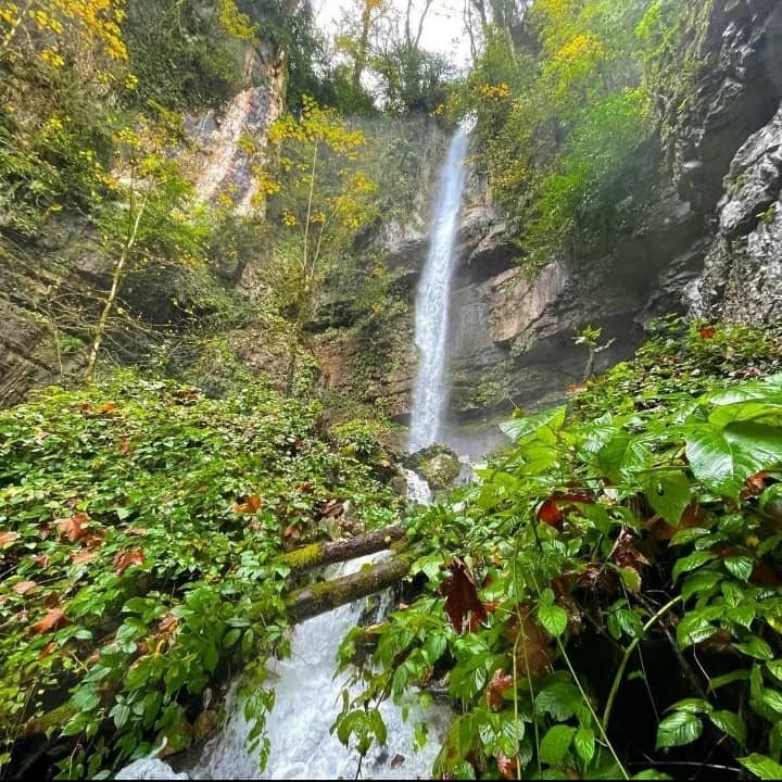 اجاره کلبه پنج خوابه  روستایی گرگان - تصویر 5