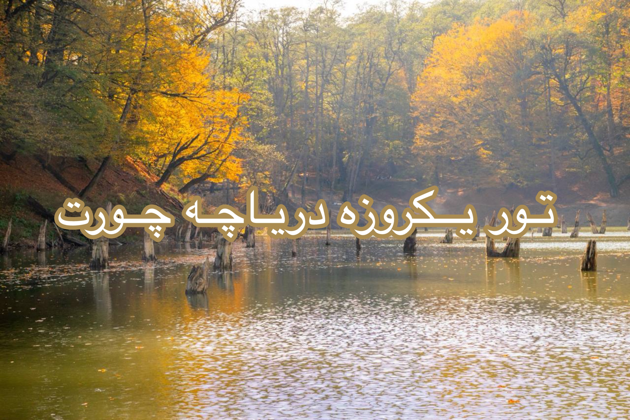 تور طبیعت گردی 1 روزه  ساری - تور مسافرتی به ساری